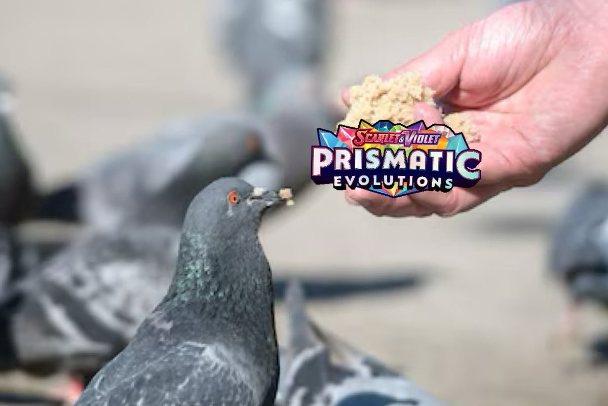 Notshivam tweet media