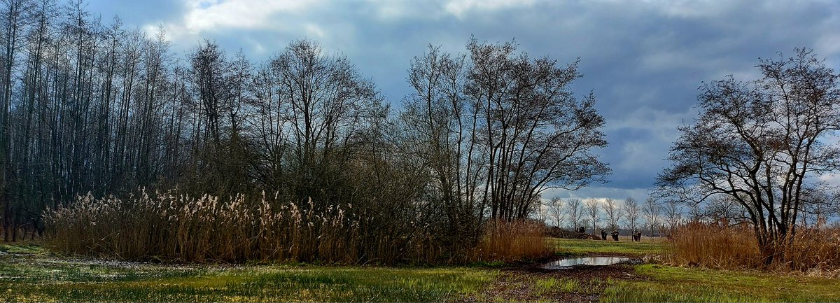 Boswachter Poulussen tweet media