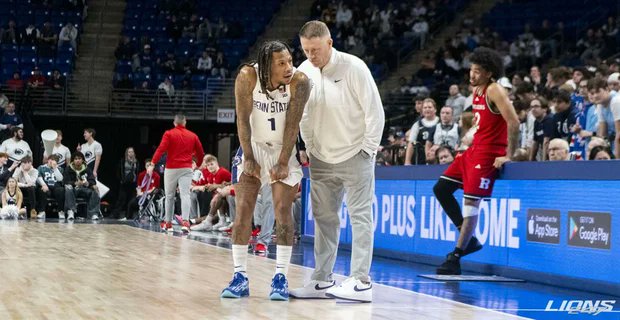 Lions247 tweet media