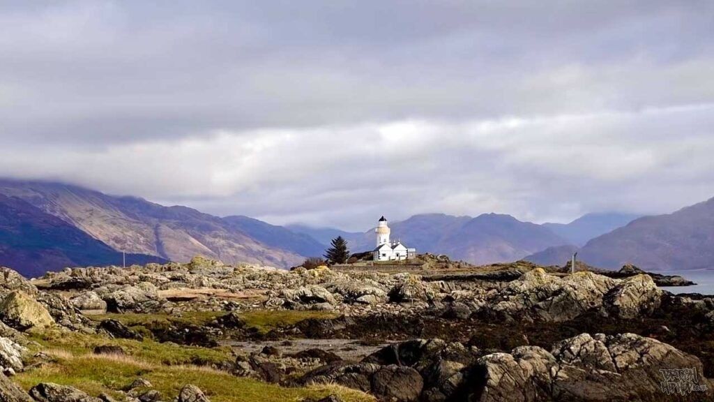 britishhiphop's tweet image. Chester P – The Lighthouse Keeper [Video] 
Regenerating in the wilds of the Scottish Highlands Chester P turns producer and brings a sparse atmospheric instrumental entitled The Lighthouse Keeper. 
#chesterp #thelighthousekeeper 
britishhiphop.co.uk/downloads/vide…