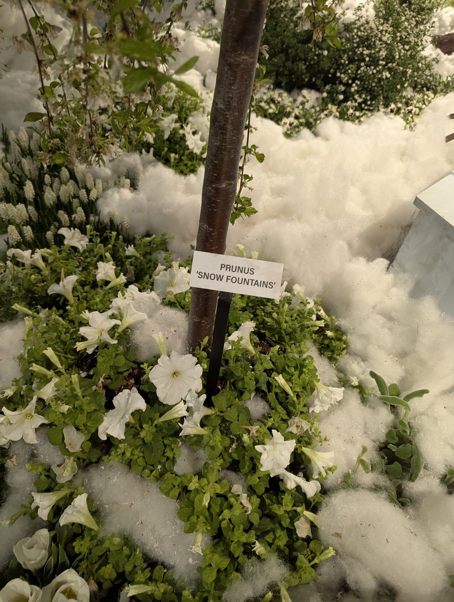 Cool displays with the theme "gardens of the future", so sustainability etc #palsporch 2/4