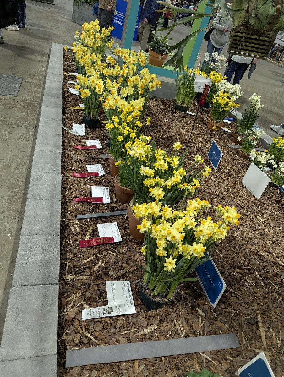 So many kids entering too; loved this cute store window #palsporch 3/4