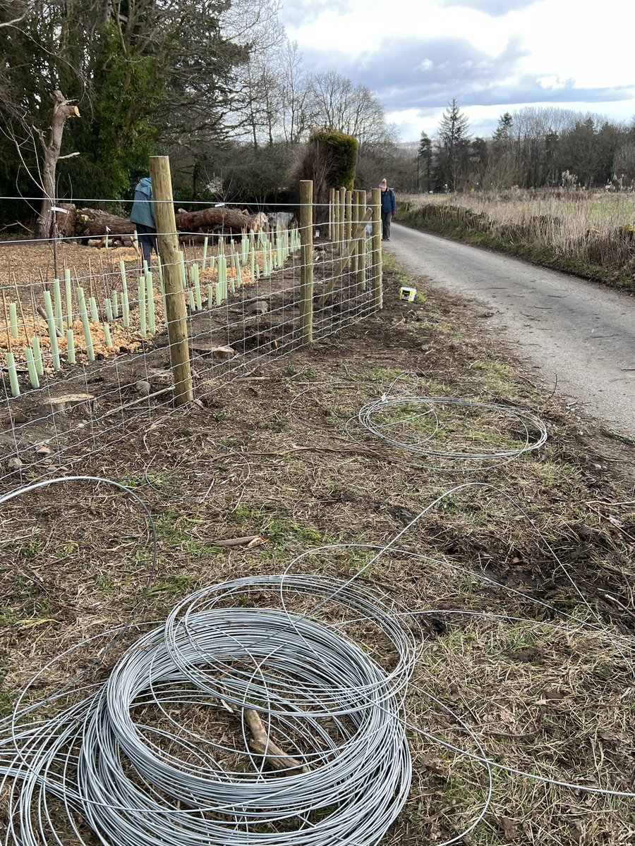 Our fabulous sponsors, Gripple Limited installed a brand new wire fence in our community orchard today. Hard work removing a tree stump before they could  continue. A huge thank you to Gripple.
#community