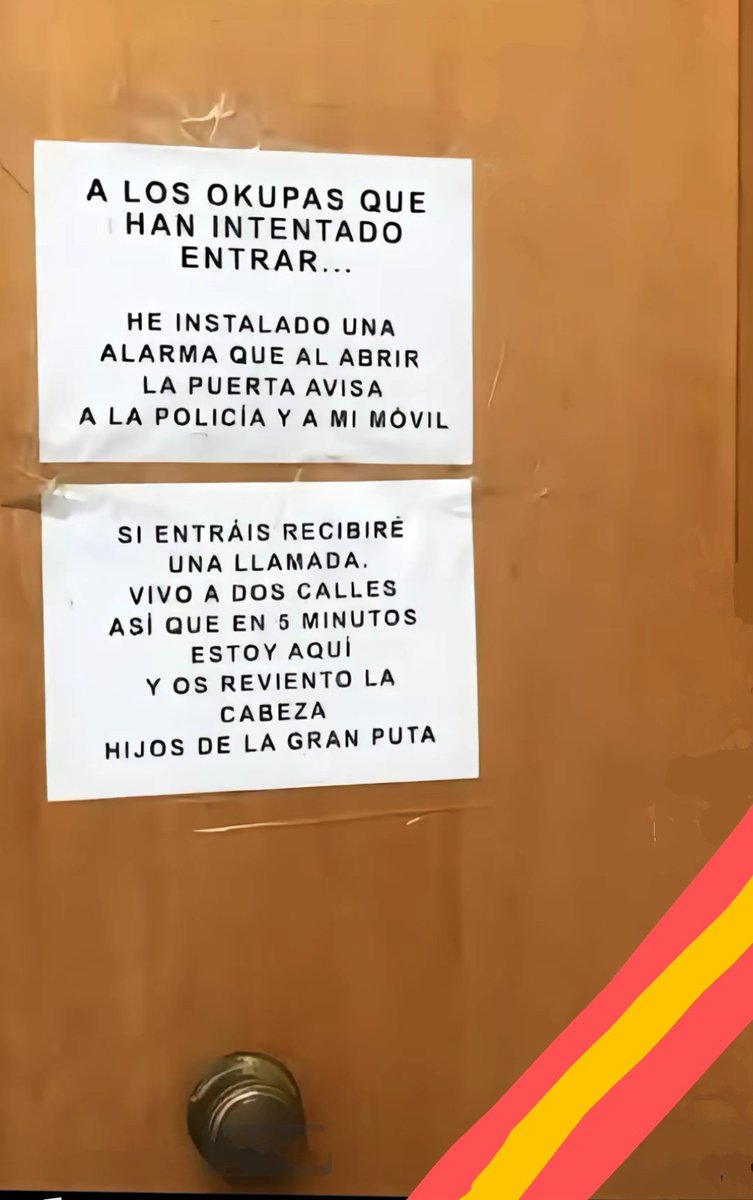 ‼️¿Qué os parece...?