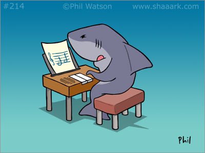 Shaaark! tweet media