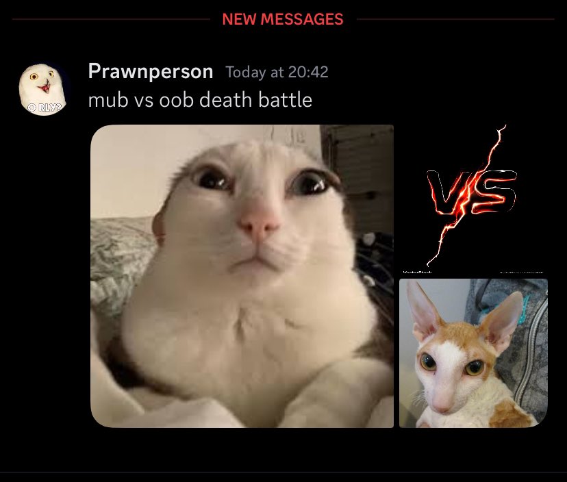 wtf is my wife talking about,,,