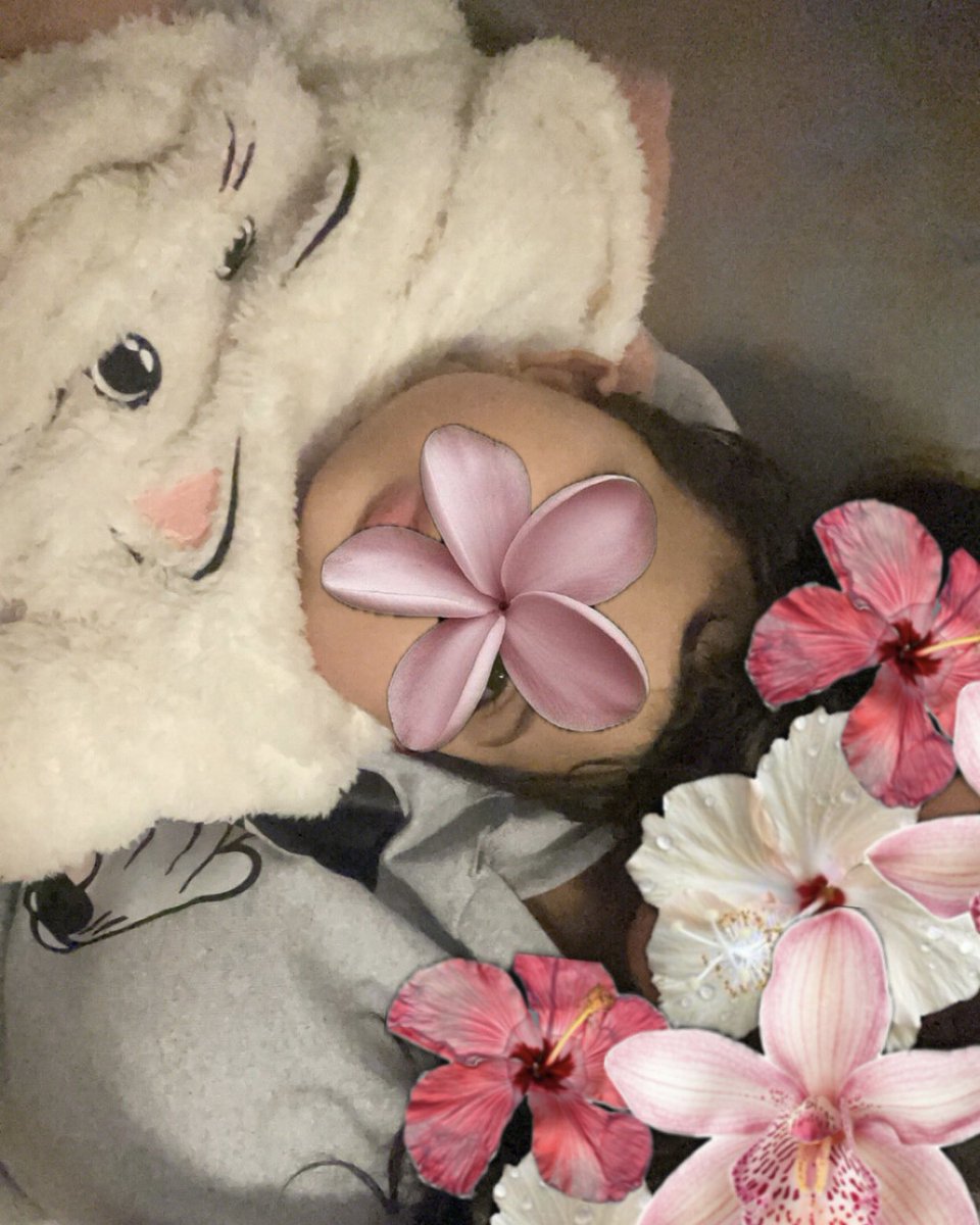 دانه tweet media