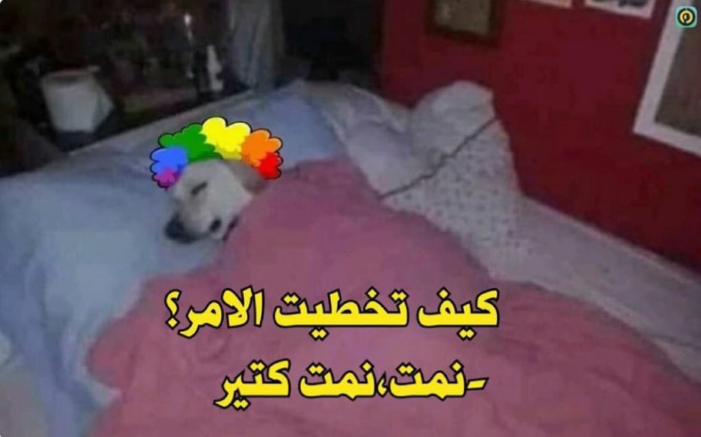 كل يوم صورة معبرة (@memesoficiial) on Twitter photo 
