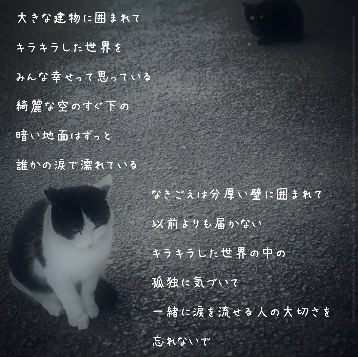 セカイ

 #綿帽子のキリトリ世界
 #うさぎのなきごえ
 #写真でポエム
 #詩  #ポエム