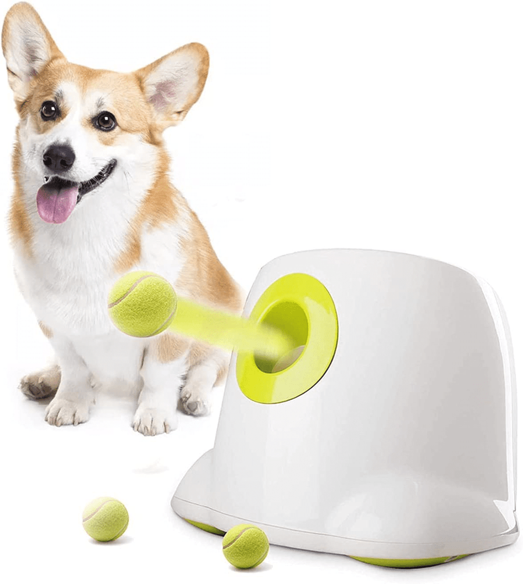 thebarkstreet's tweet image. 🏃‍♂️ Keep playtime exciting with a ball launcher! Perfect for dogs that love to chase &amp;amp; fetch. 🐕🎾 Check it out at TheBarkStreet.com! 🐾 #FetchTime #SpringPlay #DogToys