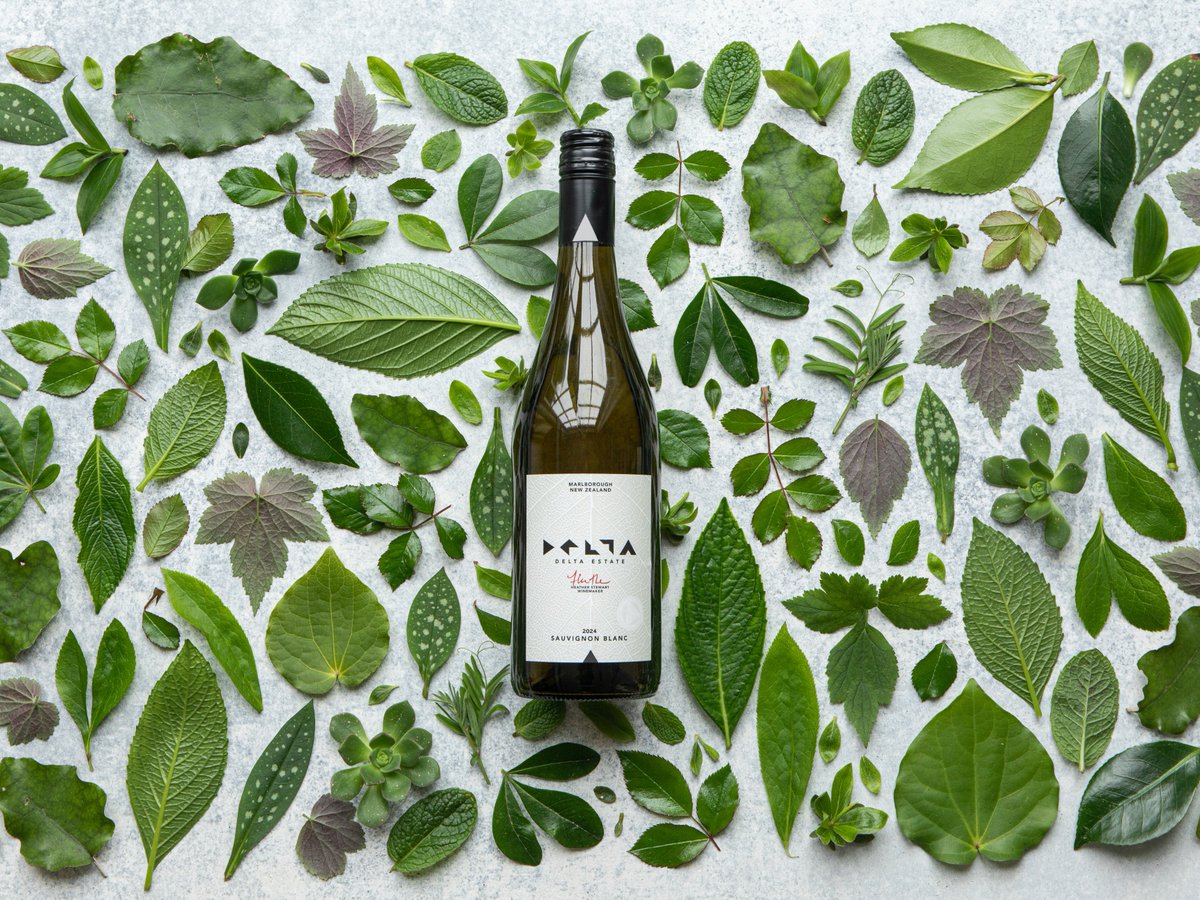DeltaEstates's tweet image. Elegant and beautifully balanced, our Delta Sauvignon Blanc delights with notes of gooseberry, grapefruit, and a touch of sea salt. The perfect companion for your next cheese board night 🥂 🧀  #nzwine #deltaestatewines