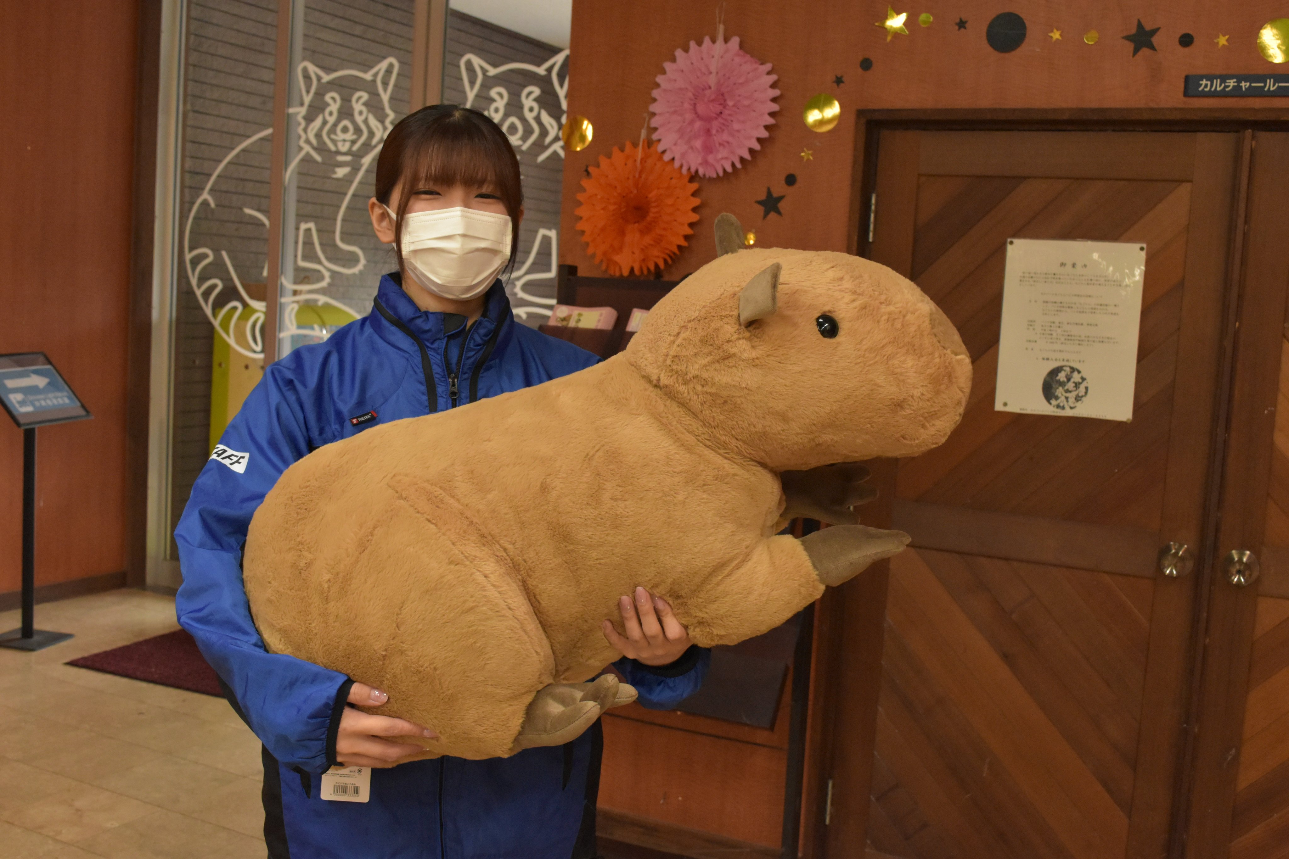 美らヤシパークオキナワ・東南植物楽園【公式】 on X: 