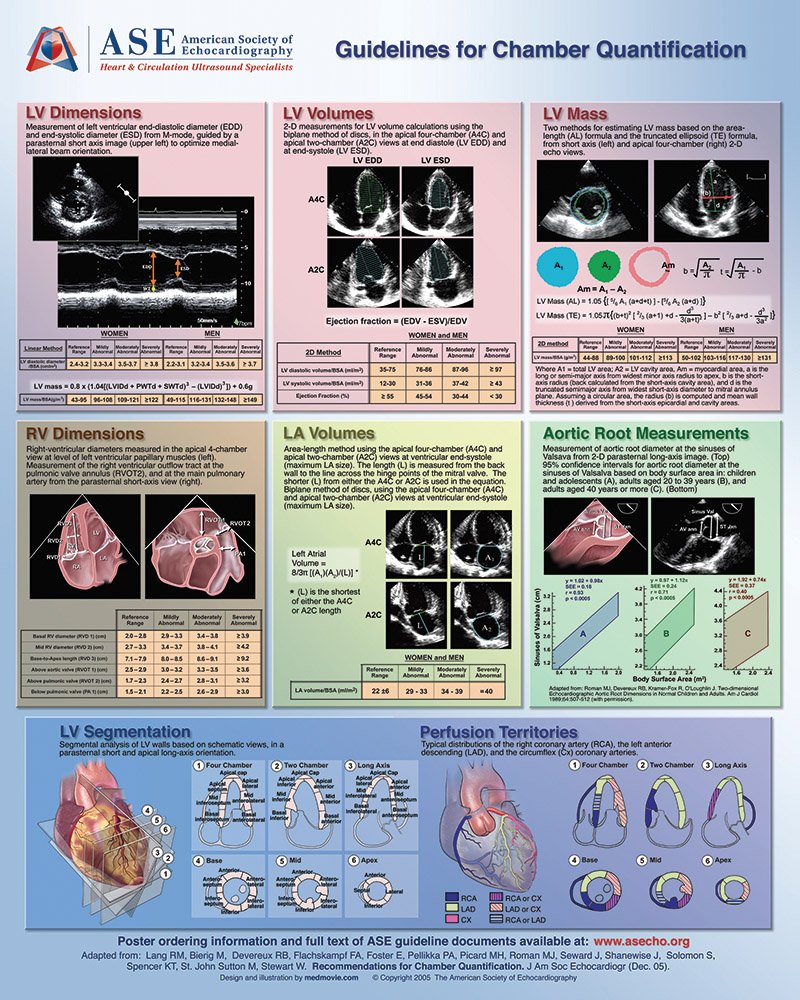 CardioNotion (@cardionotion) on Twitter photo 🔴Guía Resumen sobre la Evaluación Ecocardiográfica para ambos ventrículos 👇
➡️Para Guardar y Compartir
Fuente: <a href="/fazalabul/">kazi ferdous</a> 🔴Guía Resumen sobre la Evaluación Ecocardiográfica para ambos ventrículos 👇
➡️Para Guardar y Compartir
Fuente: <a href="/fazalabul/">kazi ferdous</a>