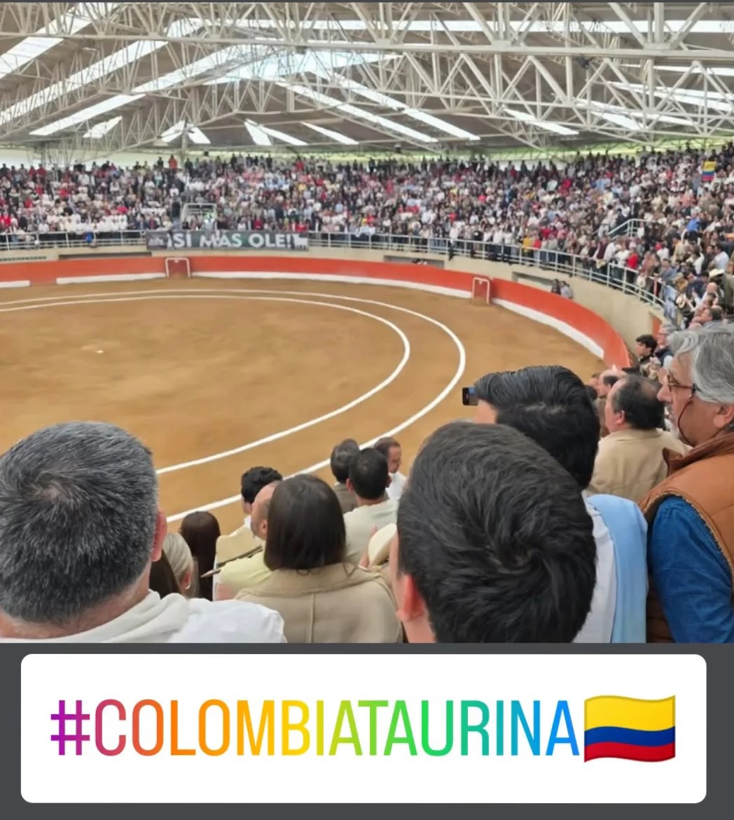 #SíMásOlé a robar a la <a href="/CConstitucional/">Corte Constitucional</a>