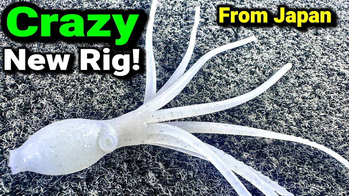 BassGeekFishing's tweet photo. I Came Up With A Crazy Rig! And It Worked!
https://t.co/D88zxdXyhH
#bassfishing #fishing #bassgeek #fishinglife #fishingtrip #fishing #fishingdaily #newlures #newbaits #bassnation #NikkoFishingBaits #youtubefishing #bassnation #nikkobaits https://t.co/aLlS2IVy7P