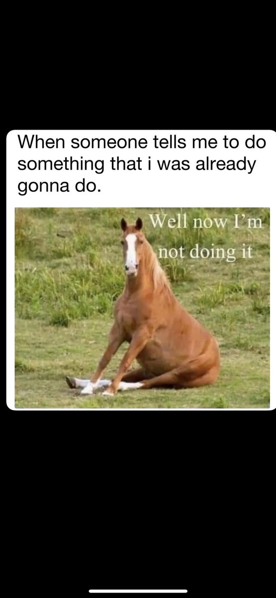 Daily Memes (@bestmemesfuns) on Twitter photo 