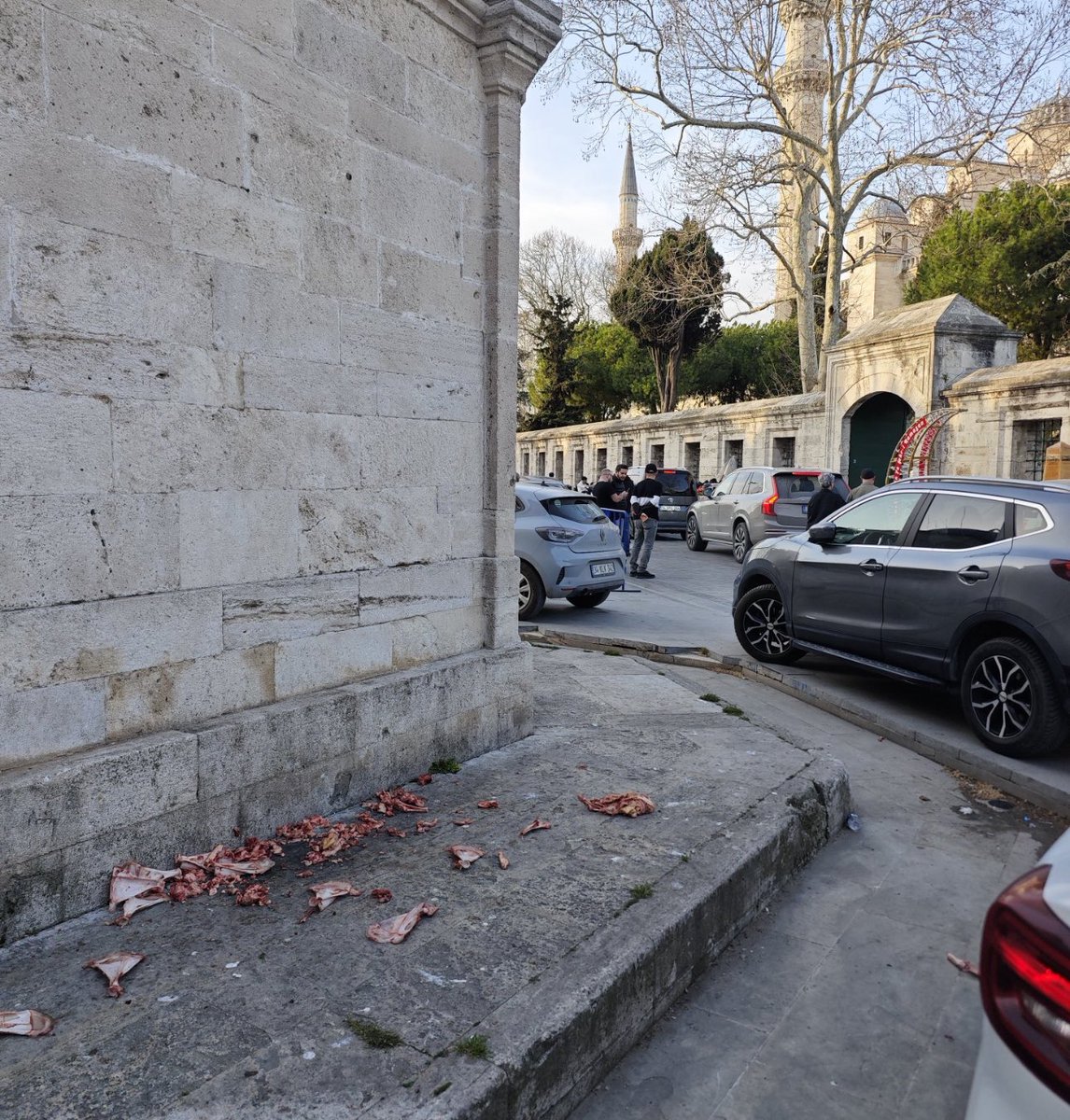 Hayvanoğlu hayvanlar, bumudur hayvanseverlik, heryer böyle, sokağa kemik çiğ et atmak mıdır vizyonunuz!