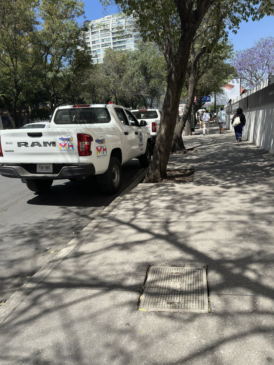 DOMINGO AVILA tweet media