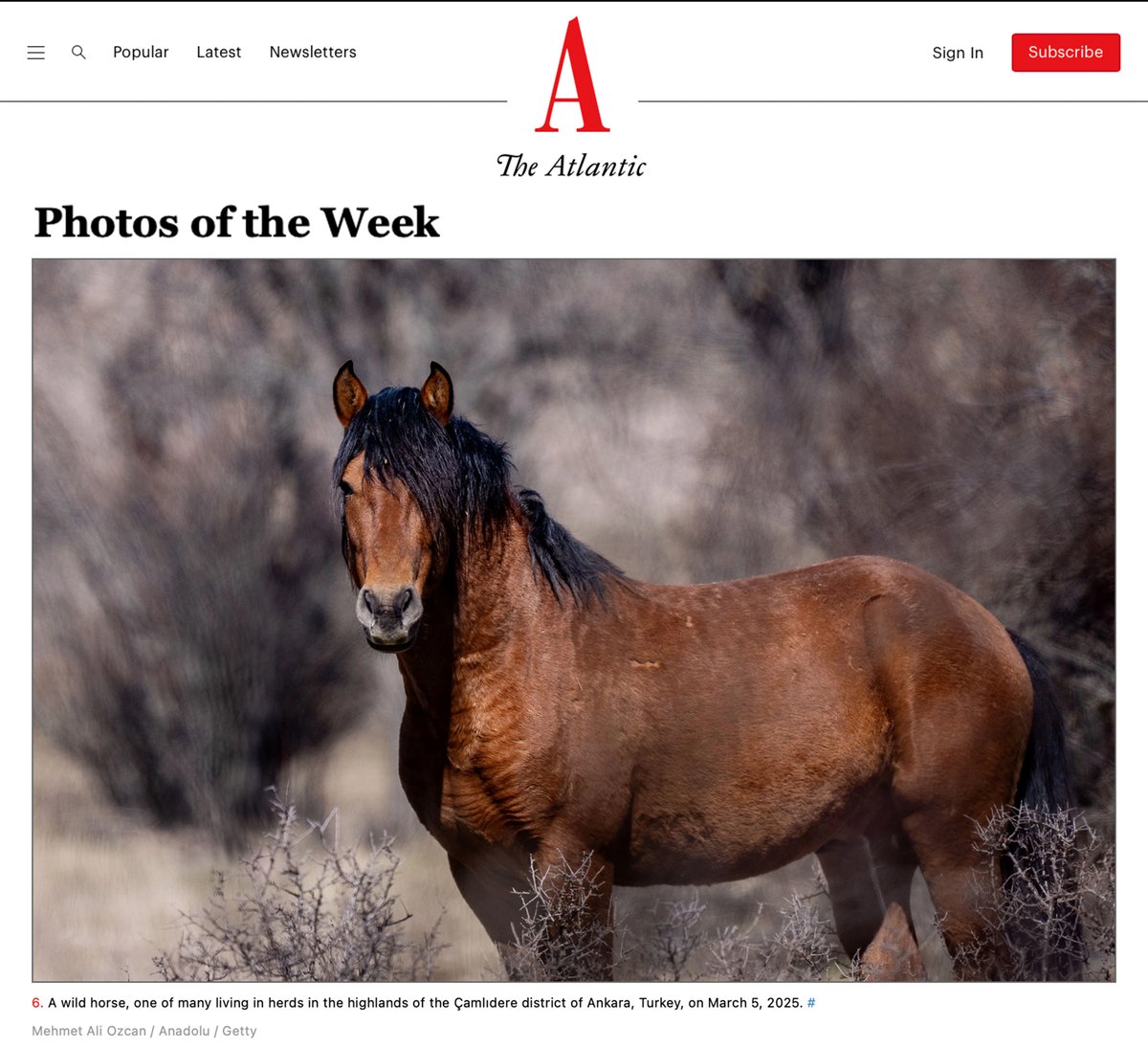 Photos of the Week theatlantic.com/photo/2025/03/… 

📸Mehmet Ali Özcan <a href="/m_ali_ozcan_/">Mehmet Ali Özcan</a> <a href="/anadoluimages/">Anadolu Images</a>