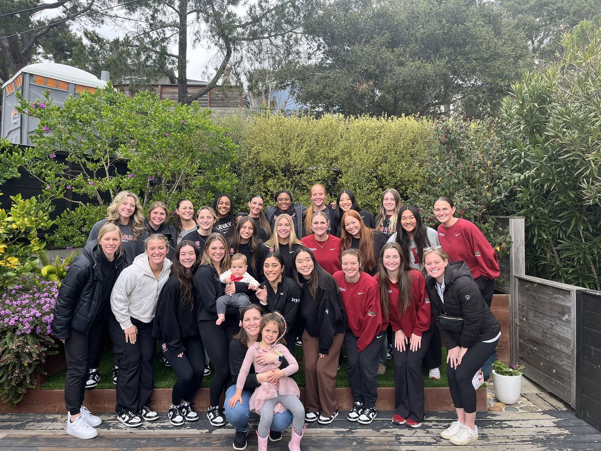 Harvard Softball tweet media