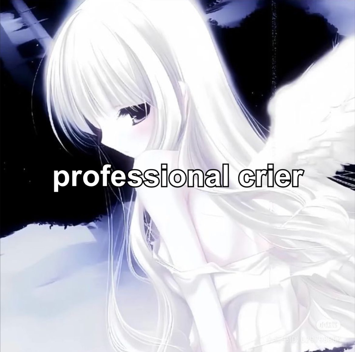 comfypill's tweet image. 