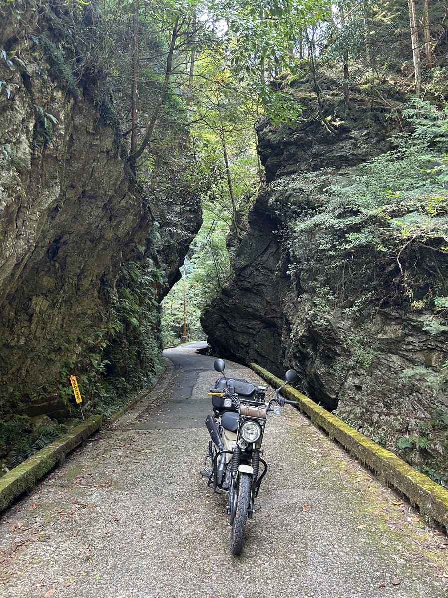 #Xカブ主総会2025