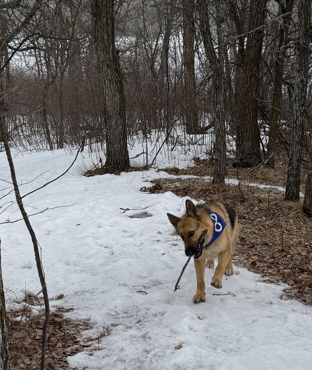 Will Goodon ∞ tweet media