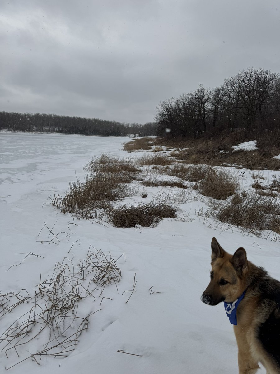 Will Goodon ∞ tweet media