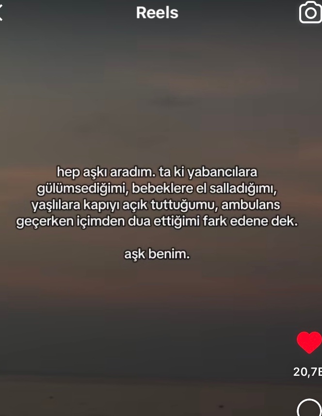 pelin ♡ tweet media