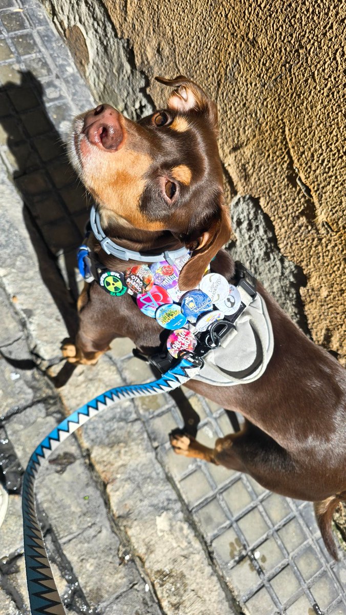 Carnaval, nos vemos en 2026❤️‍🩹