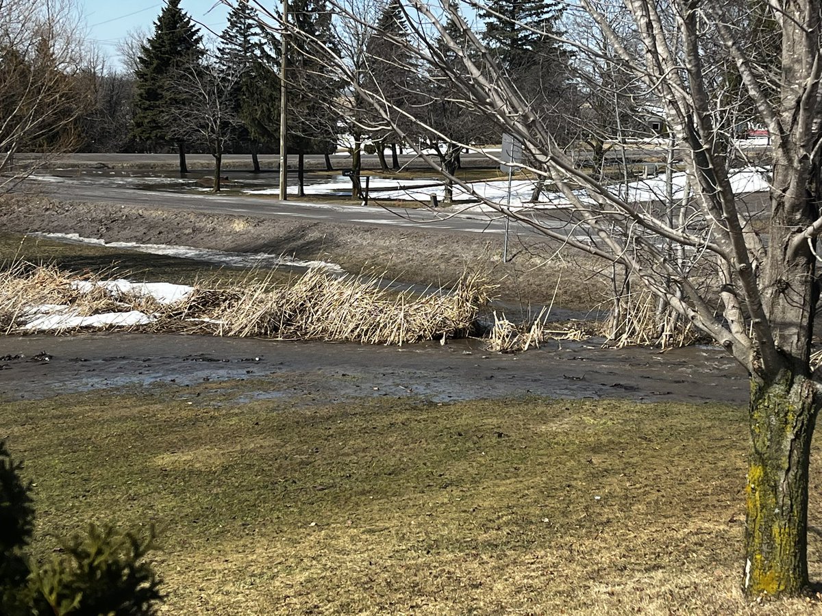 Hey <a href="/kawarthalakes/">Kawartha Lakes</a> Please perform maintenance on the swale designed to direct water into the culvert. Trees &amp; debris are causing overflow, water has breached the bank, and it’s flowing behind the berm, creating unnecessary flooding.   Simcoe St/Zion Rd Immediate action needed.