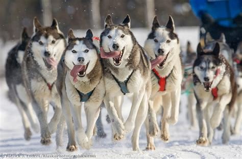 woodskiff16's tweet image. Massachusetts Wants Maura Healey GONE! Like the snowball she rode in on!