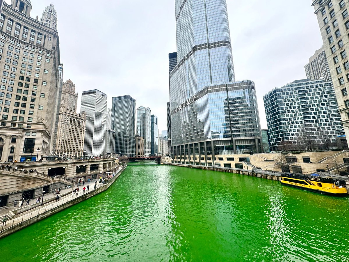 Caitlin Cook tweet media