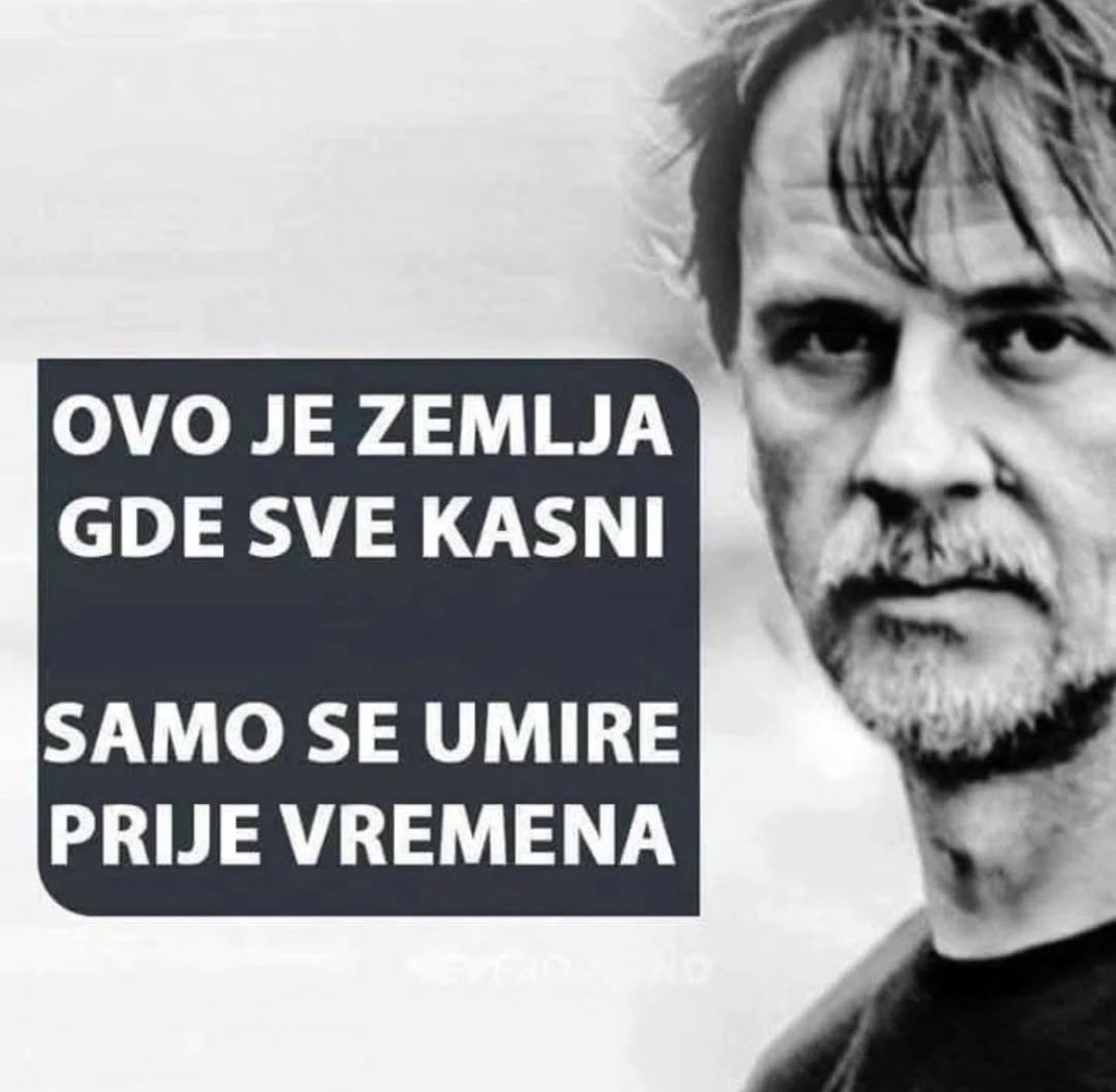 Sim (@simmmonnaa) on Twitter photo 