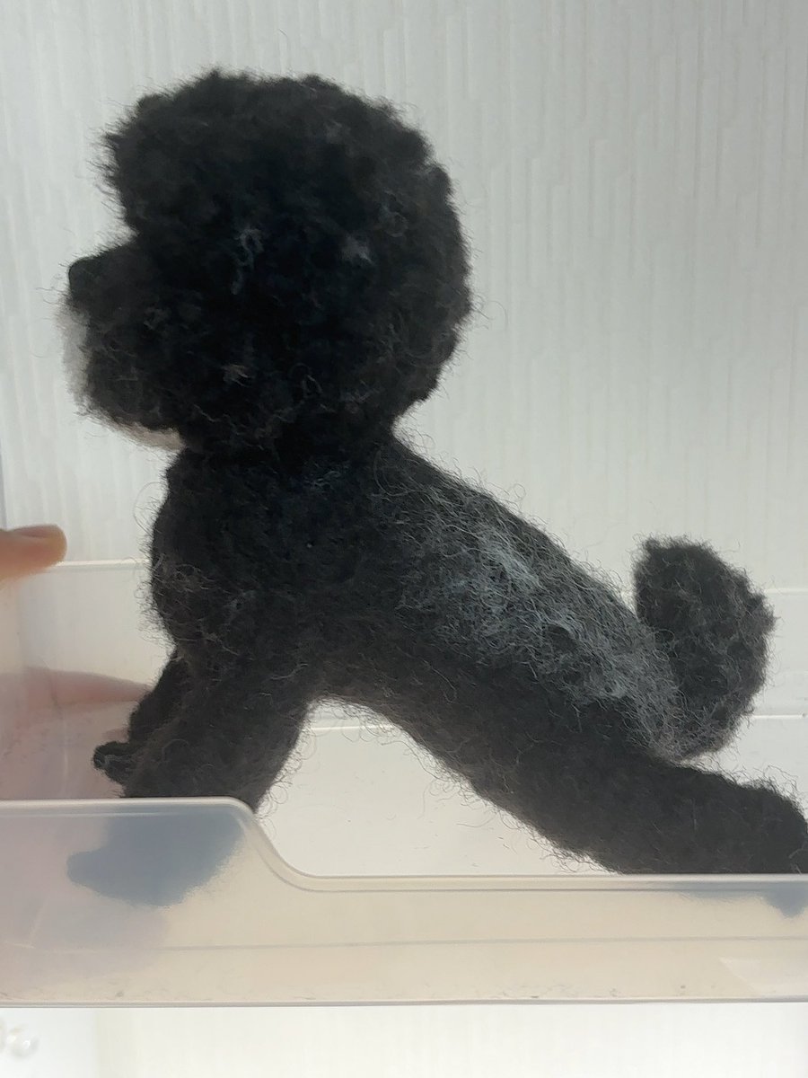 aya2727's tweet photo. オーダーのプードルちゃん作ってます！
黒は初めてなので難しいです！
鼻と肉球は粘土で作ります！！
あともう少し(^^)
#羊毛フェルト　#ハンドメイド　#プードル https://t.co/RlAWZ4vYkV