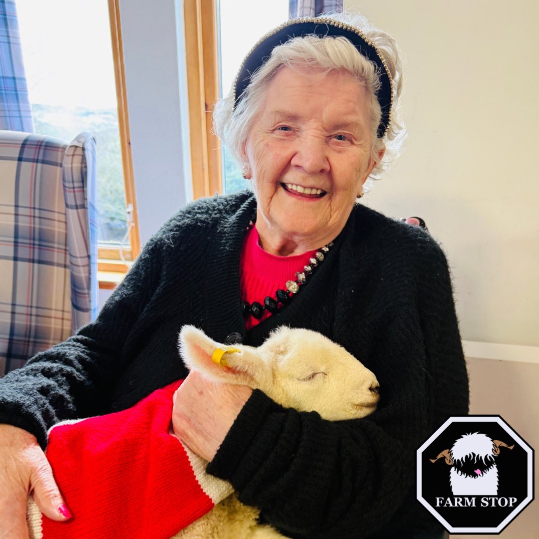 FarmStopABZ's tweet photo. 🐑🥰POPPY SPREADING HAPPINESS 🥰🐑
Some picture highlights of Poppy’s adventure❣️
🐑 https://t.co/P5FhKgufbV 🐑
#PoppysAdventure #FarmStop #CareHome #KnittedJumper #Lamb #AnimalTherapy https://t.co/Jba9UTee0P