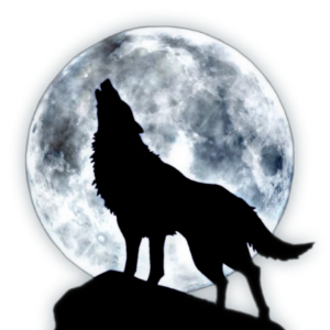 WOLVESQVEEN's tweet photo. sometimes⠀we⠀have⠀to⠀do⠀things⠀that⠀we⠀don't⠀want⠀to⠀do⠀because⠀we⠀are⠀the⠀only⠀ones⠀who⠀can⠀do⠀them⠀. https://t.co/aRHJBj8bIb