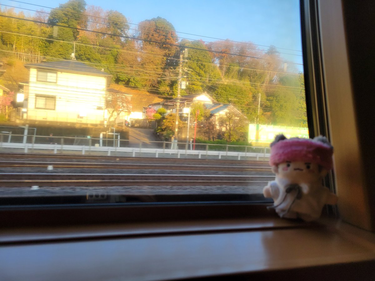 まゆねこ tweet media