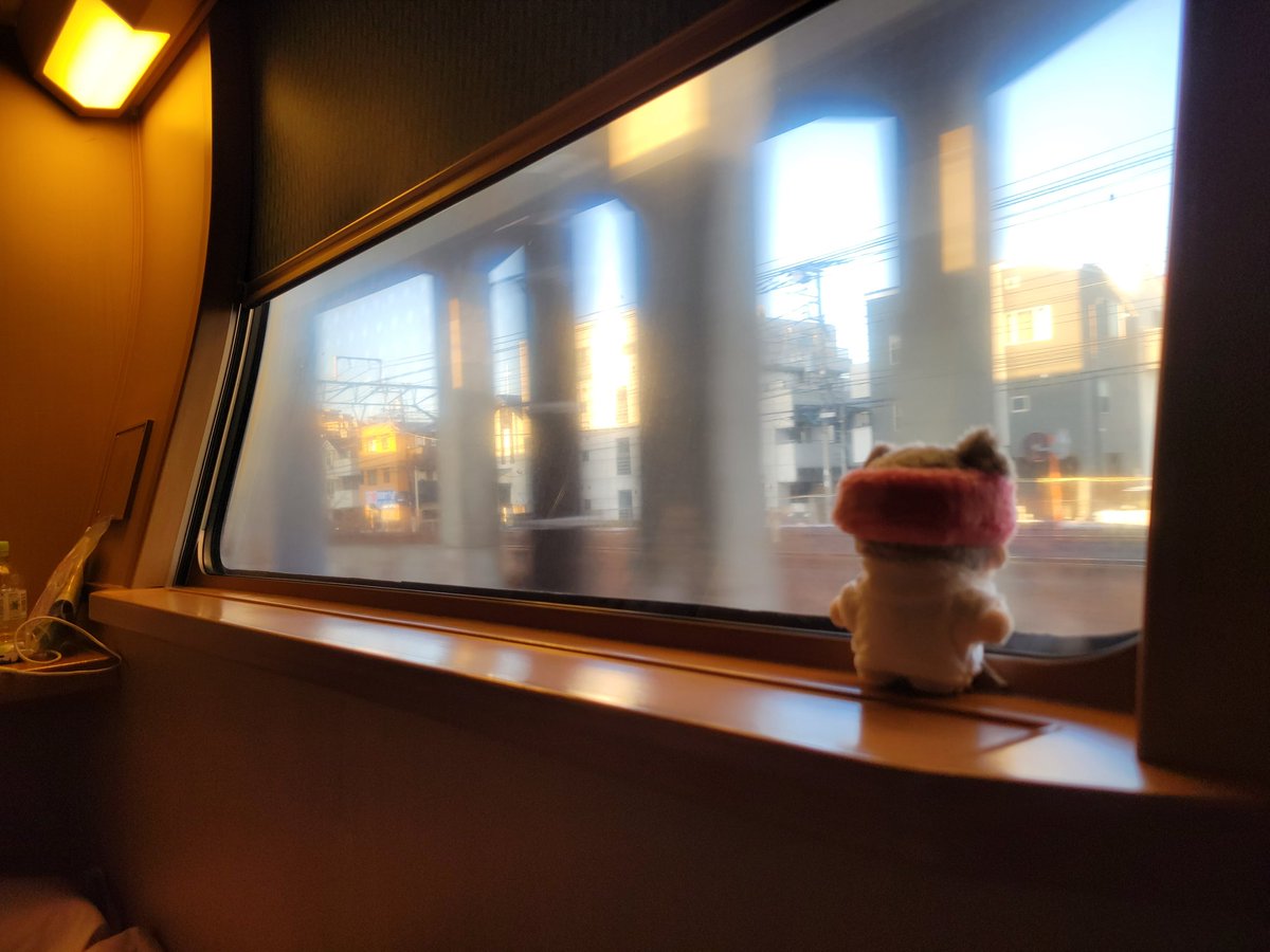 まゆねこ tweet media