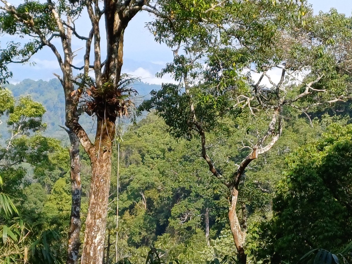 John Gale tweet media