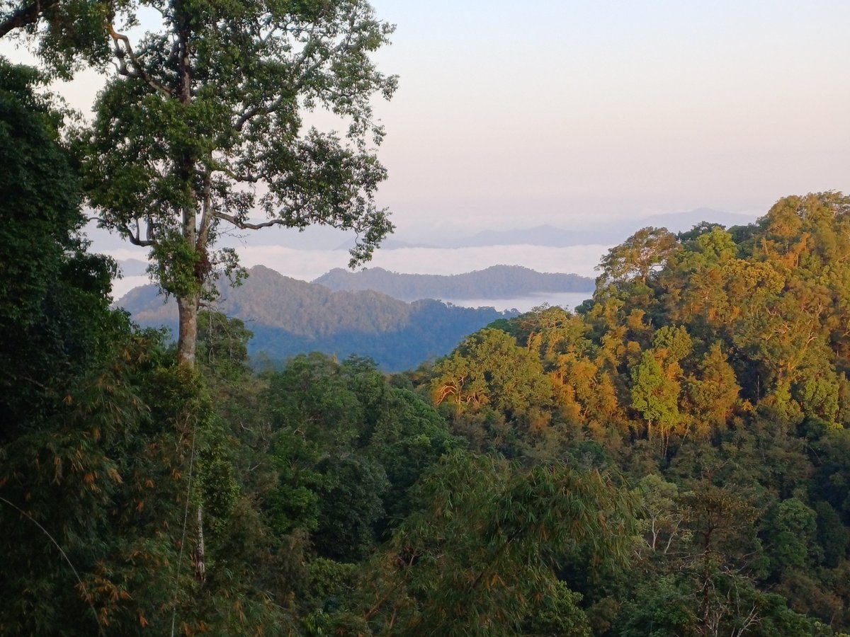 John Gale tweet media