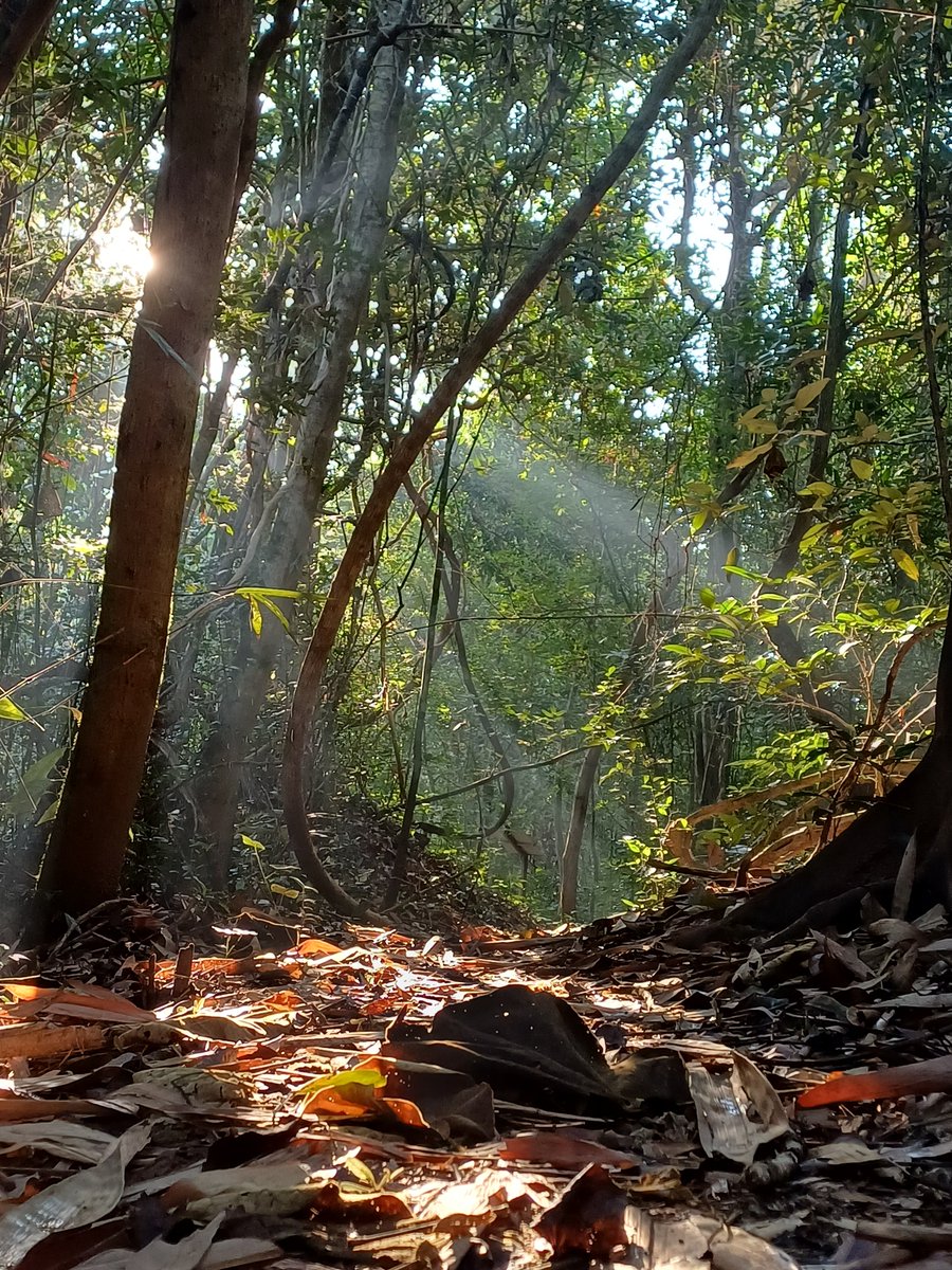 John Gale tweet media