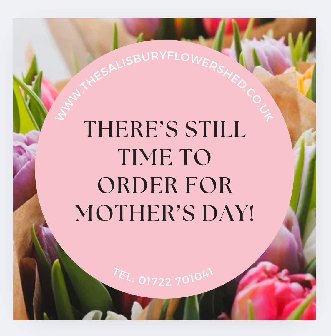 There’s still time to place an order for Mother’s Day flowers for collection or delivery 💐🌺🌸

thesalisburyflowershed.co.uk

Tel: 01722 701041
Or 
Mobile: 07977 126076

Sue 🌸