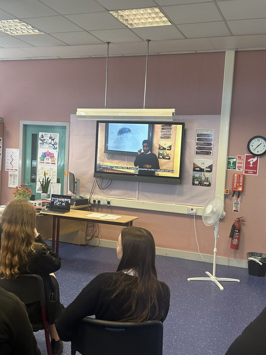 St Roch's Secondary DDE (@strochsec_dde) on Twitter photo S1 and S2 finished off #BritishScienceWeek by delivering their presentations on animal adaptations. This session also included a question and answer session with <a href="/JDenerley/">John Denerley</a> - thank you for teaching us! Thank you to <a href="/aud2526/">Dr Audrey Cameron, OBE, HonFRSC</a>, too - we’ve had a fab week! #DeafScientists #BSW2025 S1 and S2 finished off #BritishScienceWeek by delivering their presentations on animal adaptations. This session also included a question and answer session with <a href="/JDenerley/">John Denerley</a> - thank you for teaching us! Thank you to <a href="/aud2526/">Dr Audrey Cameron, OBE, HonFRSC</a>, too - we’ve had a fab week! #DeafScientists #BSW2025