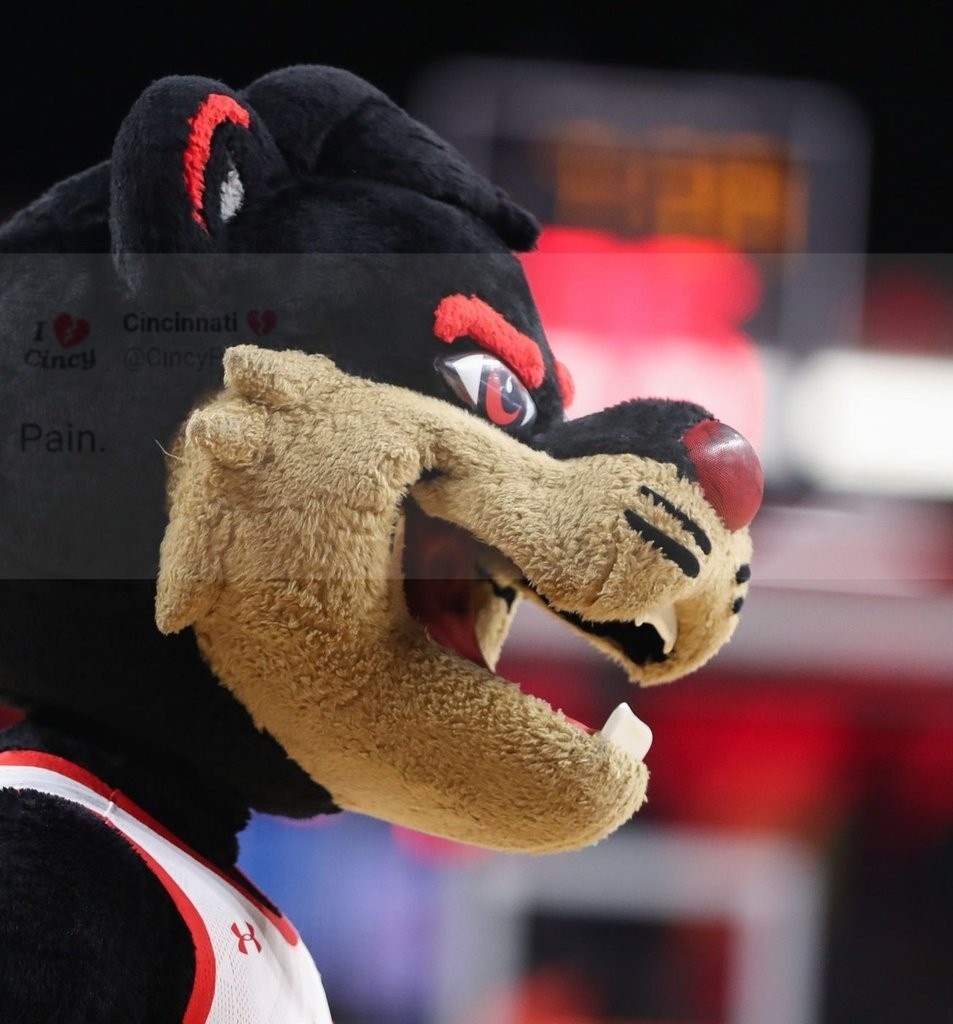 CincyProblems's tweet photo. The #Bearcats will miss the NCAA Tournament for the 6th straight season... https://t.co/jFUw09e8kj