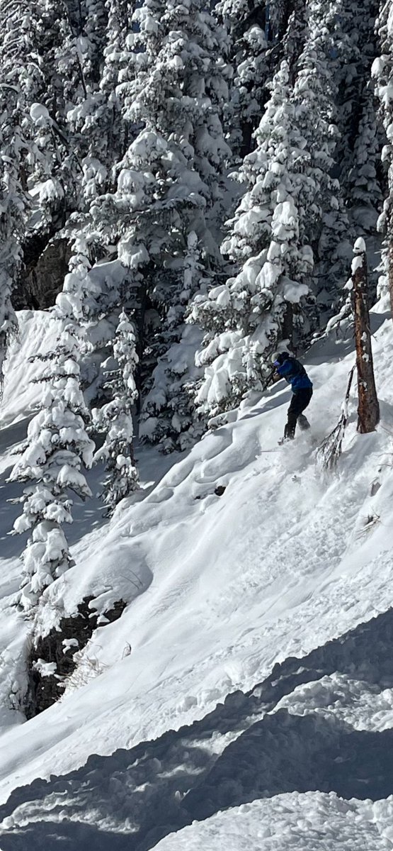 After 30 inches of powder in the last 72 hours, Wolf Creek Ski Area had a sunny Sunday for skiers and snowboarders to enjoy all the fresh snow!!
📸:Kalei &amp; Eli Pitcher #wolfcreekski #wolfcreekskiarea #skiwolfcreek #wolfcreekcolorado #mostsnowincolorado #powderday
