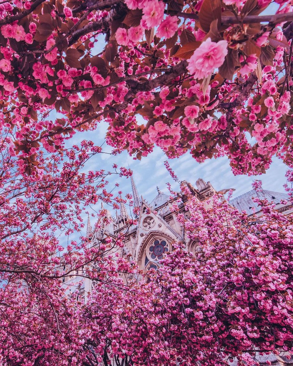 JenaC2's tweet image. Hello, my X friends ๐ง๐ป๐ธ Hope youโre all enjoying a lovely new season ๐๐ธ #Spring2025 ๐ธ๐ธ๐ธ๐๐ธ๐ธ