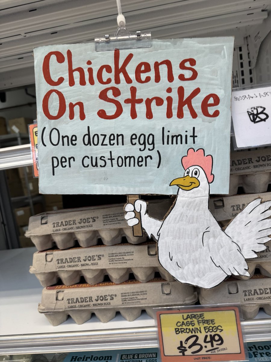 Fiona Vernal tweet media