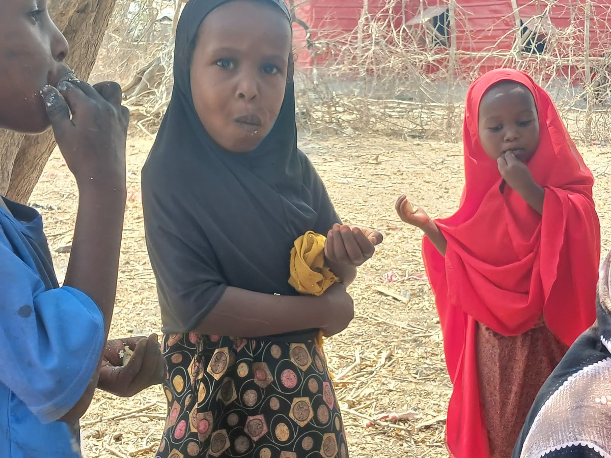 WamoRelief's tweet photo. The "One Egg Campaign" implemented in Afmadow District with the support of @shf_somalia improves children's nutrition by providing access to eggs, a nutrient-rich food source, rich in protein and micronutrients which are essential for healthy growth and overall development. https://t.co/kBAb0Ngn54