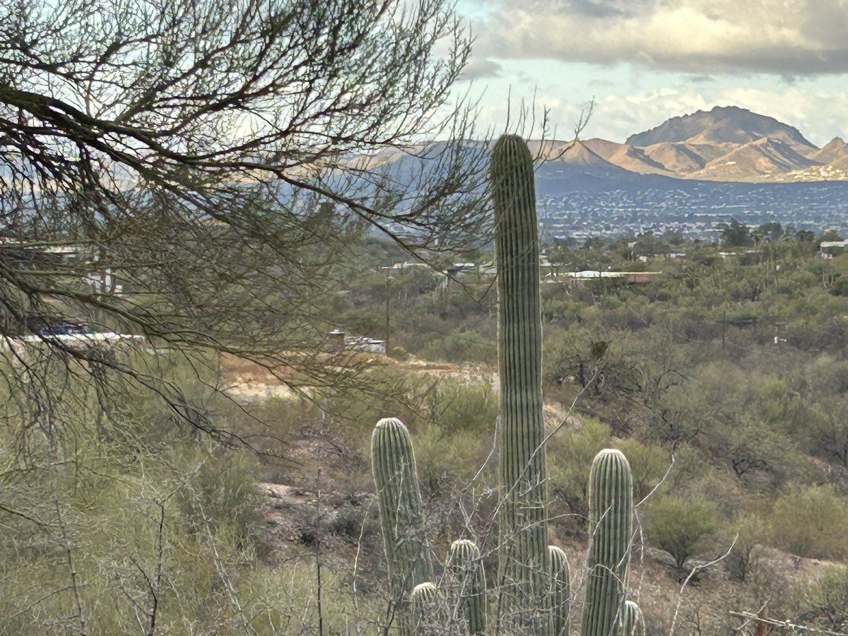 TJParkerauthor's tweet image. Thank you @TFOB for another wonderful weekend of authors, artists and readers in your beautiful desert!   @robertcrais Gary Phillips @donwinslow Willy Vlautin Luis Albert Urrea  @JAJance Thomas Perry
#TFOB